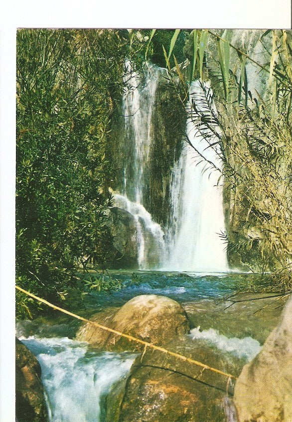 Postal 022844 : Rio Algar - Cascada, Callosa de Ensarria (Alicante)