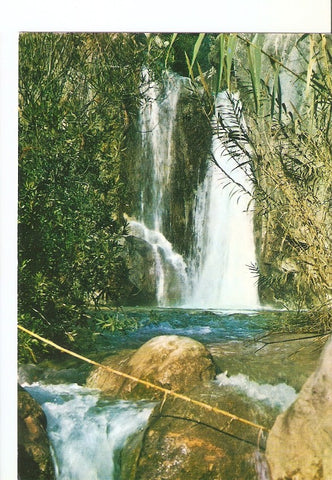 Postal 022844 : Rio Algar - Cascada, Callosa de Ensarria (Alicante)