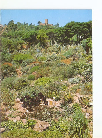 Postal 022849 : Al fondo Castillo de S. Juan, Jardin Botanico, Blanes (Costa Brava)