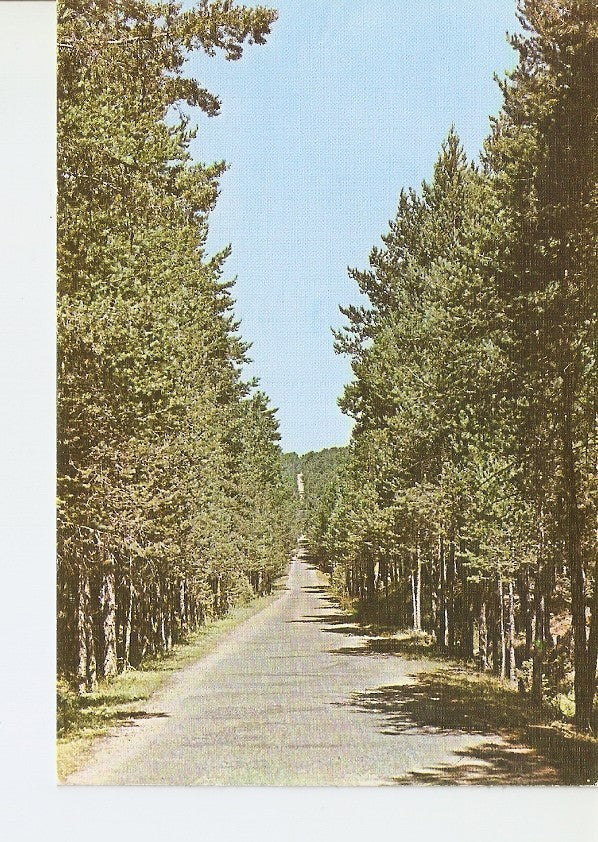 Postal 022878 : Orihuela del Tremedal (Teruel), Recta del Puerto