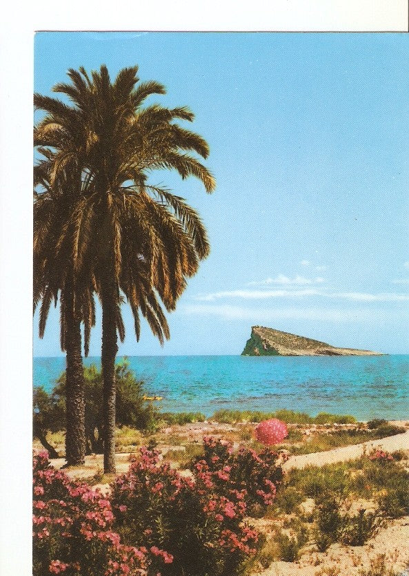 Postal 022917 : Benidorm (España)