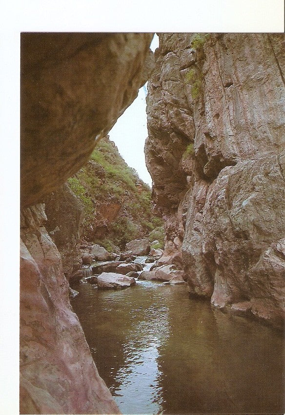 Postal 022974 : Playeta, Chelva (Valencia), nº1