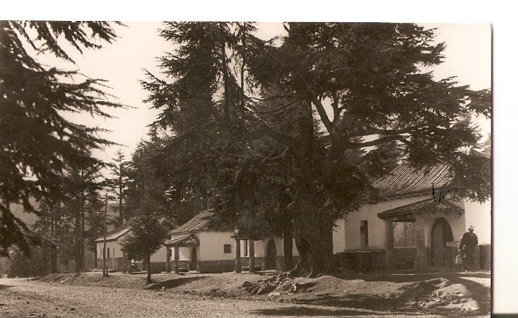 Postal 023059 : Ketama