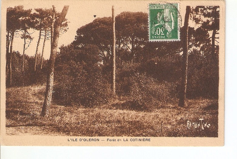 Postal 023094 : LIle DOleron - Forêt de la Cotiniere