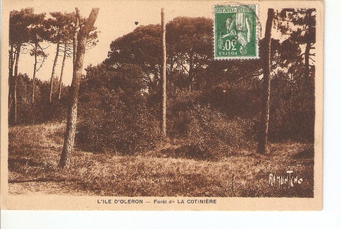 Postal 023094 : LIle DOleron - Forêt de la Cotiniere