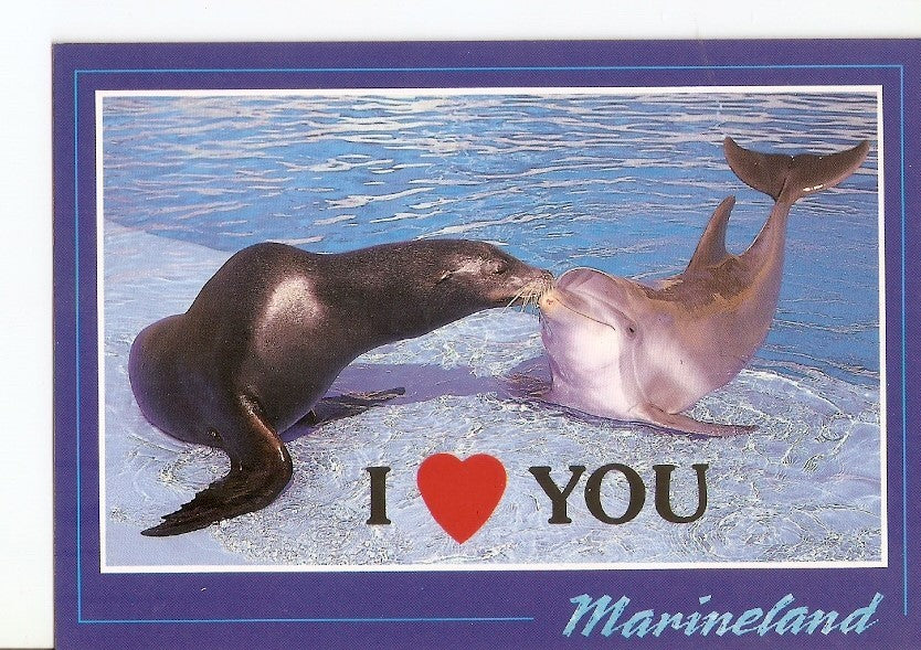 Postal 023290 : Marineland, Costa den Blanes Mallorca