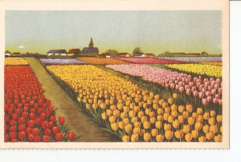 Postal 023315 : Pintura, hollandse Bloembollenvelden