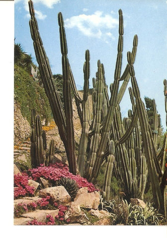 Postal 023325 : jardines - España