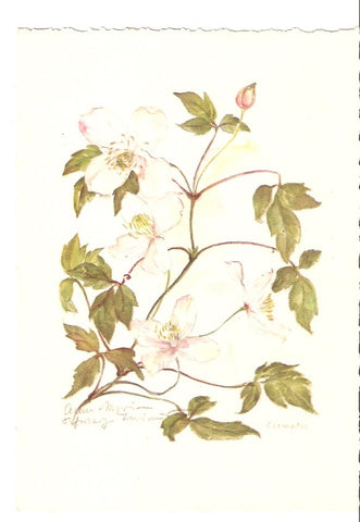 Postal 023326 : Flores