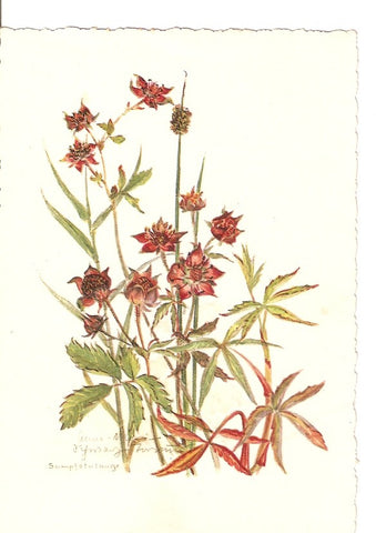 Postal 023327 : Flores