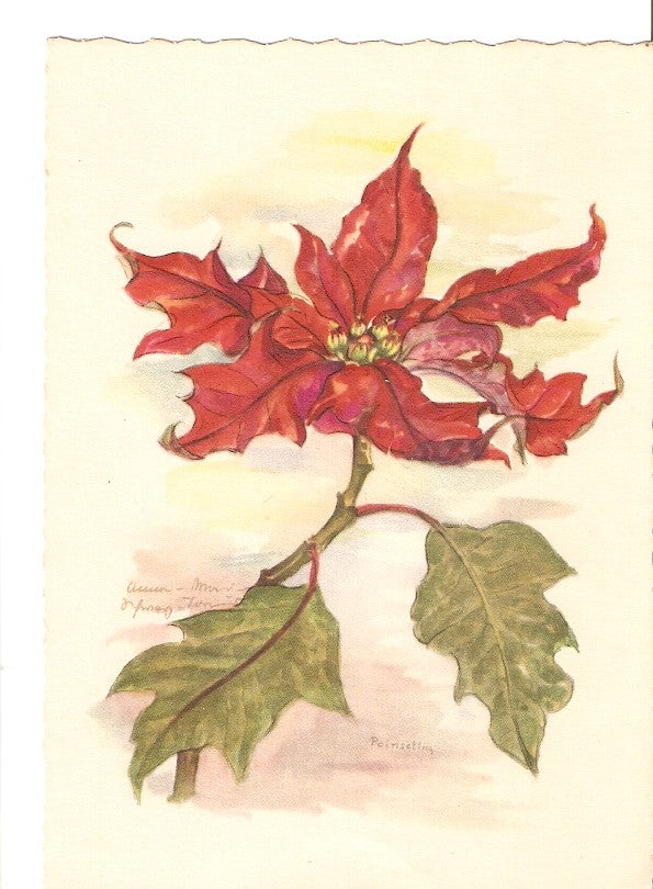 Postal 023329 : Flores