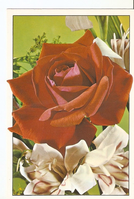 Postal 023344 : Flores