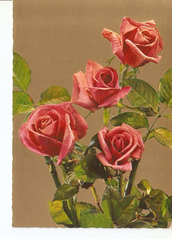 Postal 023349 : Flores