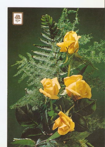Postal 023350 : Rosas amarillas