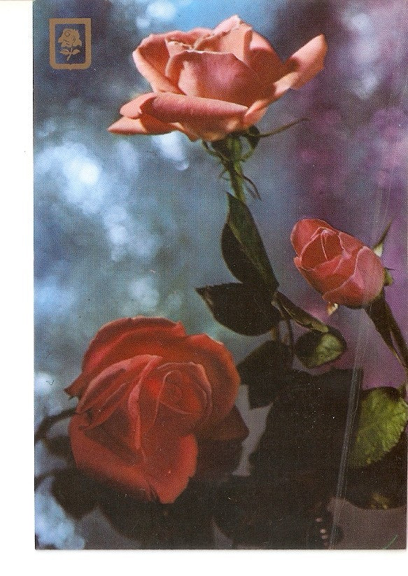 Postal 023352 : Rosas  