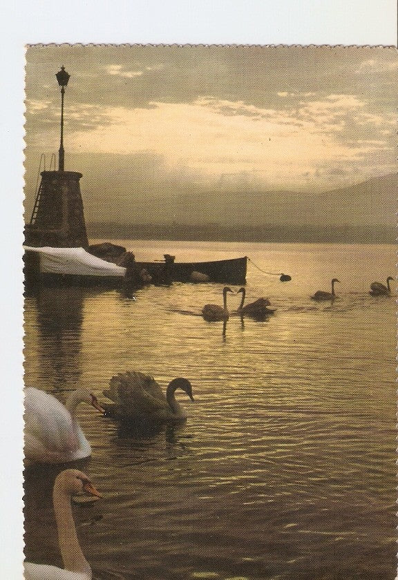 Postal 023356 : Dawn on Lake of Geneva