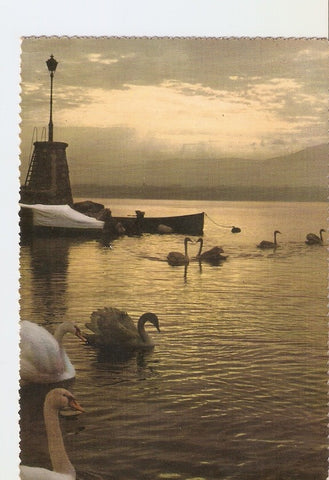 Postal 023356 : Dawn on Lake of Geneva