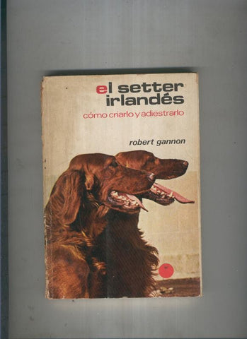 El setter irlandes