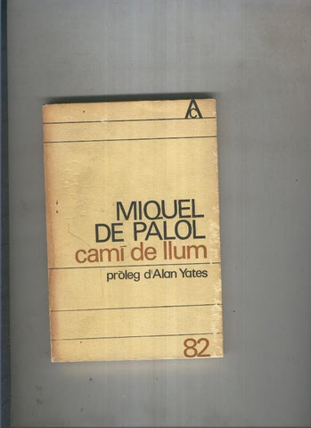 Cami de llum