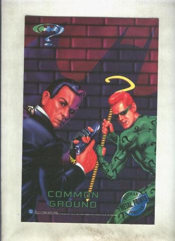 Lamina plastificada de Batman Forever: metal Prints:Common Ground