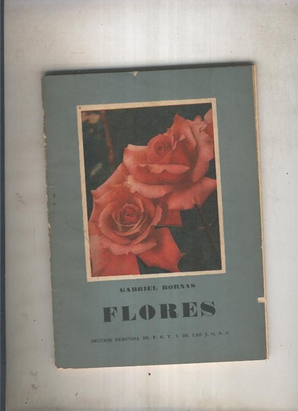 Flores