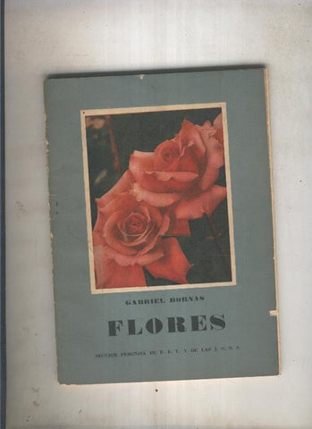 Flores