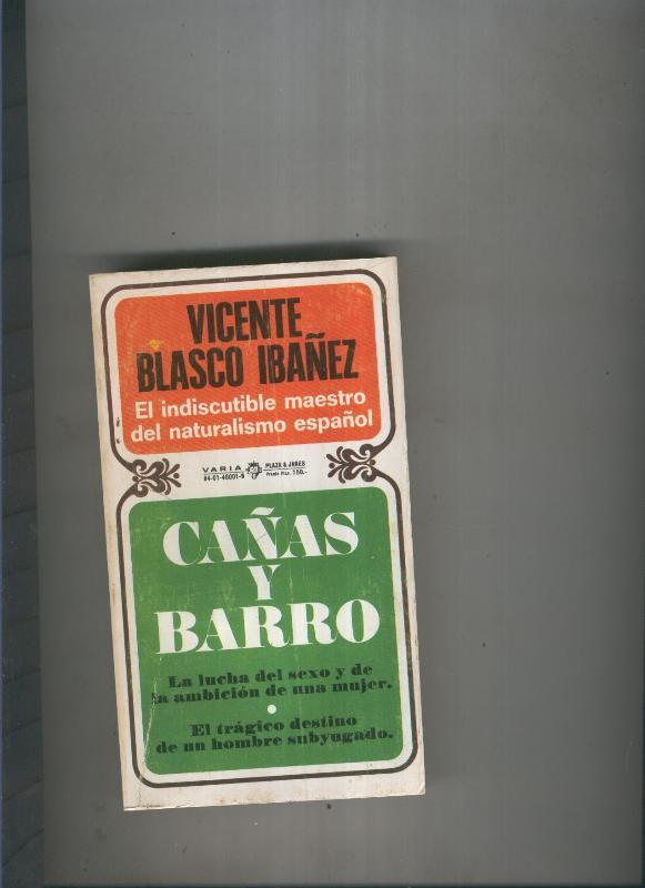 Cañas y Barro