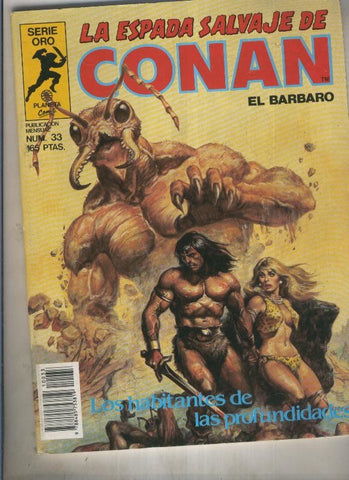 La espada salvaje de conan volumen 1 numero 033
