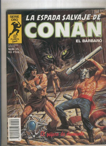 La espada salvaje de conan volumen 1 numero 035