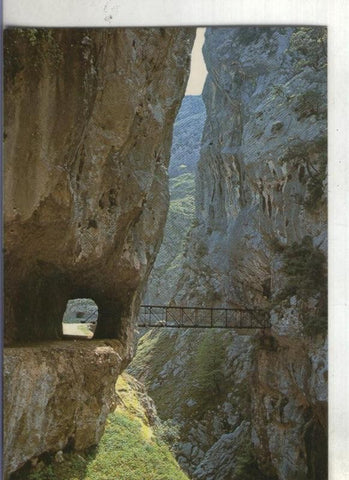 Postal 003521:: Picos de Europa: Garganta del Cares