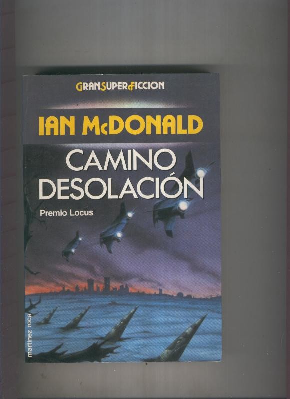 Camino desolacion