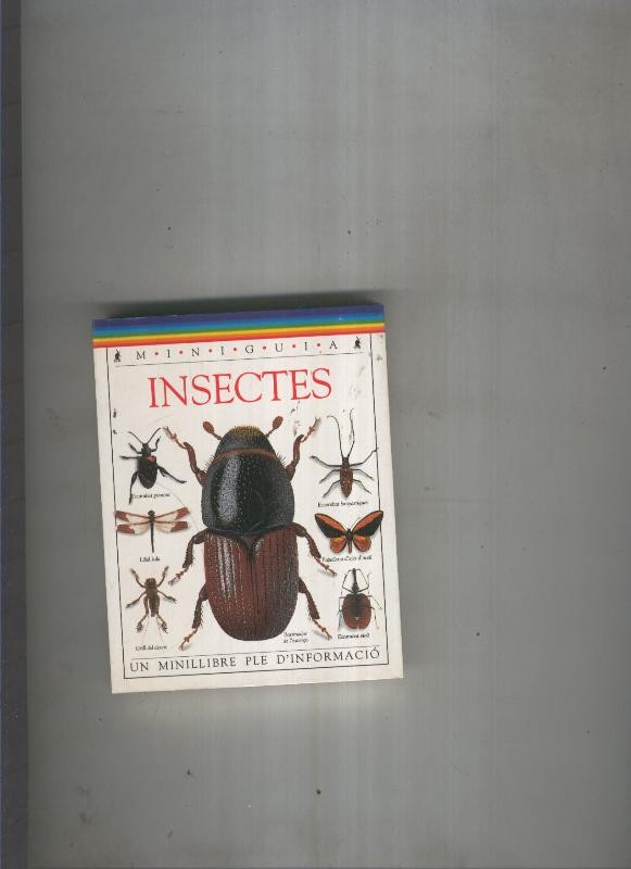 Insectes