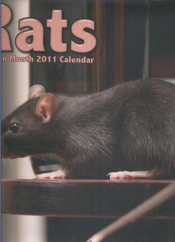 Calendario / Kalender / Calendrier / Calendar: 2011 : Rats (ratas)
