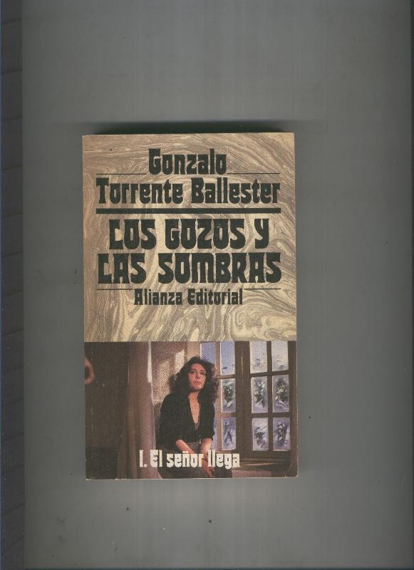 Los gozos y las sombras