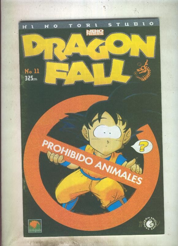 Dragon Fall numero 11