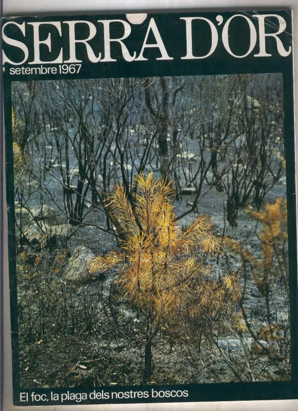 Serra D,Or numero 001 al 1967
