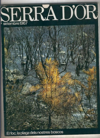 Serra D,Or numero 001 al 1967