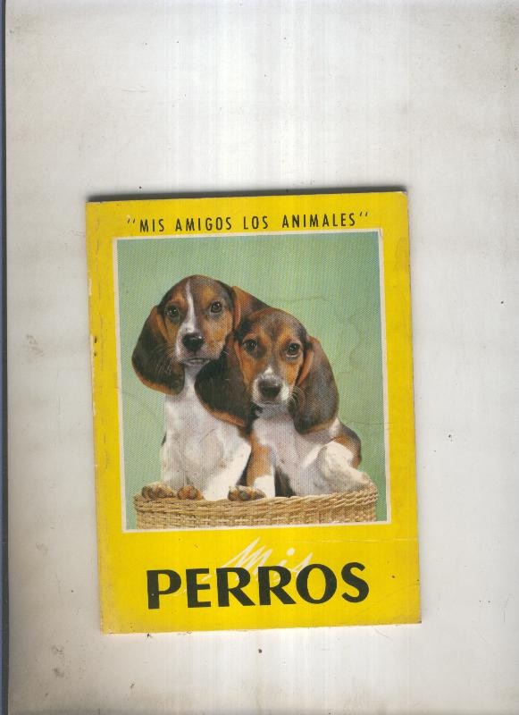 Mis perros