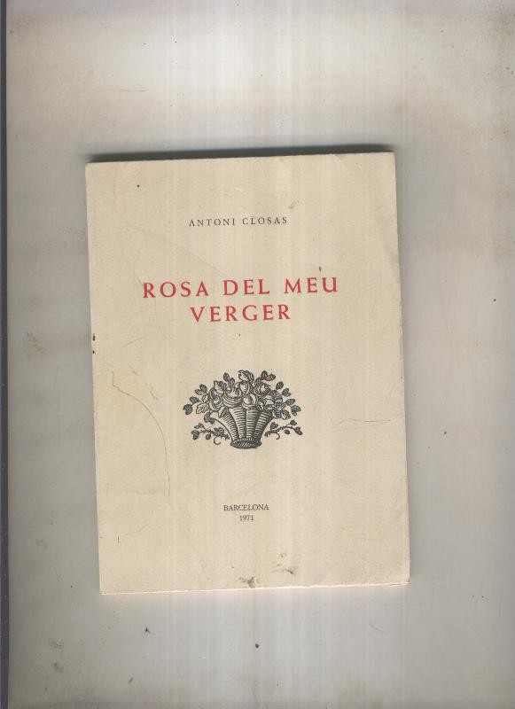 Rosa del meu verger