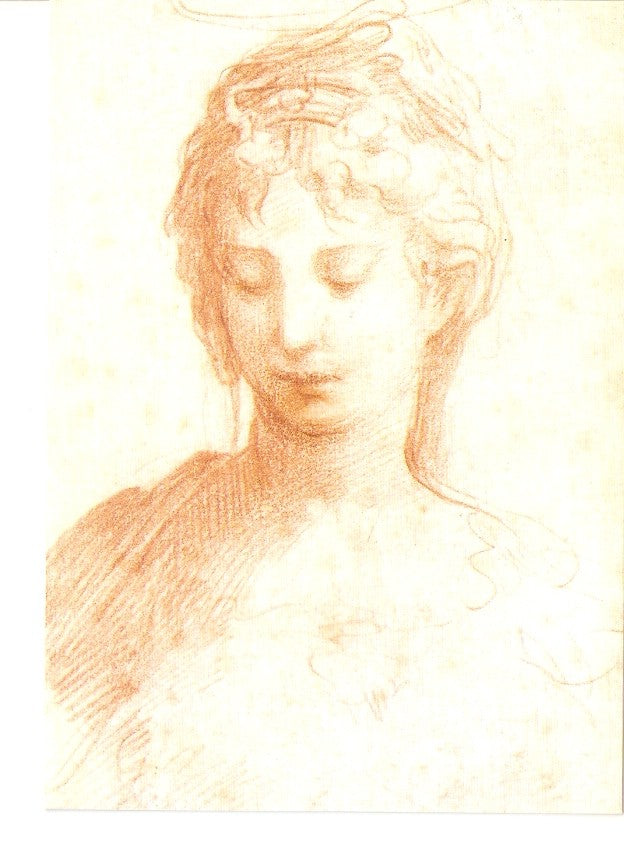 Postal 026563 : Il Parmigianino. Head of a Young Woman