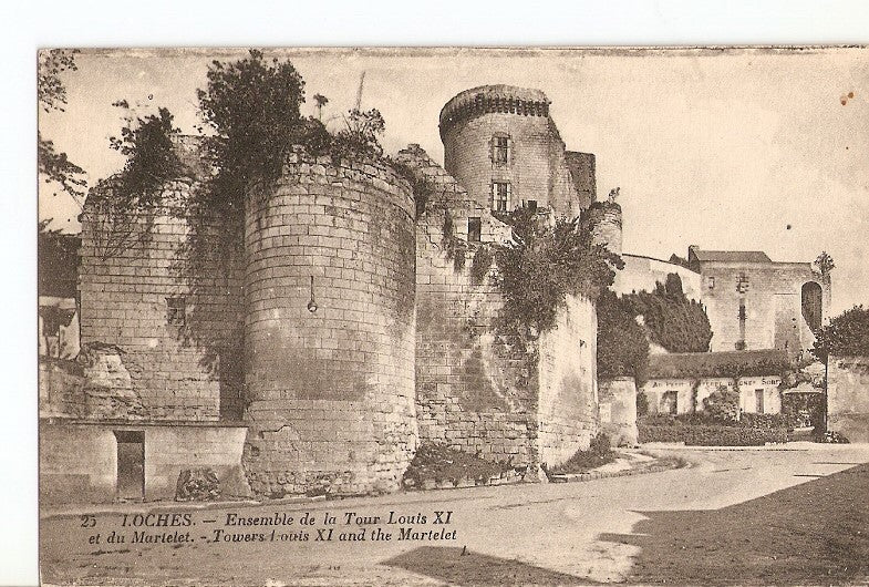 Postal 026789 : Loches - Ensemble de la Tour Louis XI et du Martelet