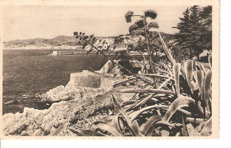 Postal 026816 : Nice - LEntree du Port, La Cote dAzur