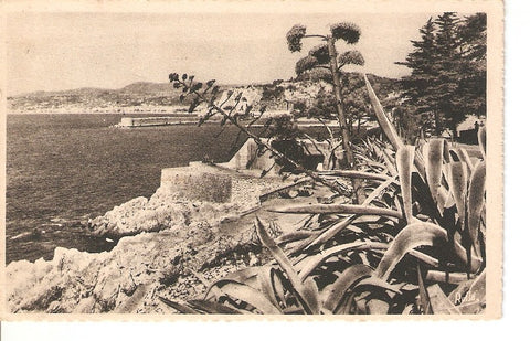 Postal 026816 : Nice - LEntree du Port, La Cote dAzur