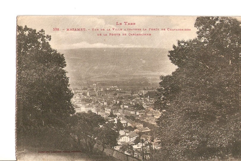 Postal 026836 : Le Tarn, Mazamet. Vue de la Ville a travers la Foret de Chataigniers de la Route de Carcassonne