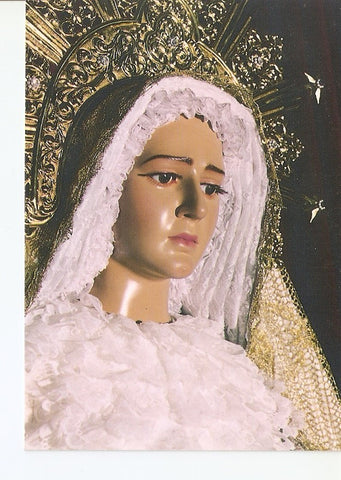 Postal 026888 : Maria Santisima de la Salud (Cofradia de la Santisima Sangre de Cristo), Elche (Alicante)