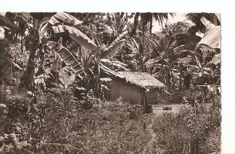 Postal 026989 : Une Case de Brousse, Abidjan