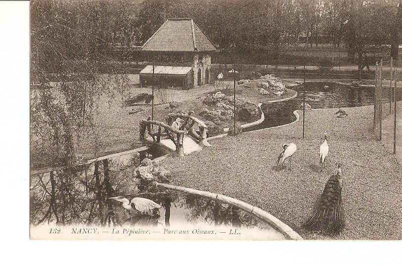 Postal 027141 : Nancy - La Pepiniere. Parc aux Oiseaux