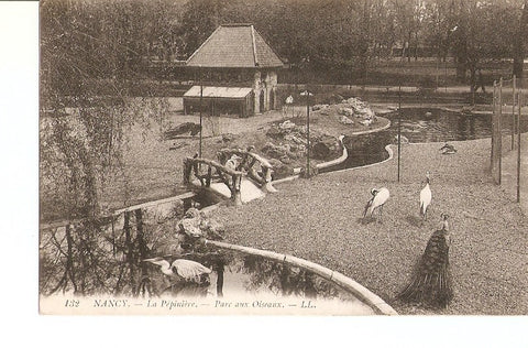 Postal 027141 : Nancy - La Pepiniere. Parc aux Oiseaux