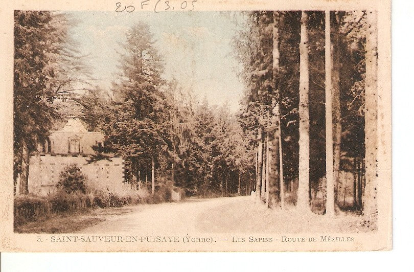 Postal 027454 : Saint-Sauvenir-en-Puisaye (Yonne). Les Sapins - route de Mazilles