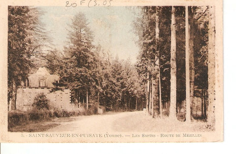 Postal 027454 : Saint-Sauvenir-en-Puisaye (Yonne). Les Sapins - route de Mazilles